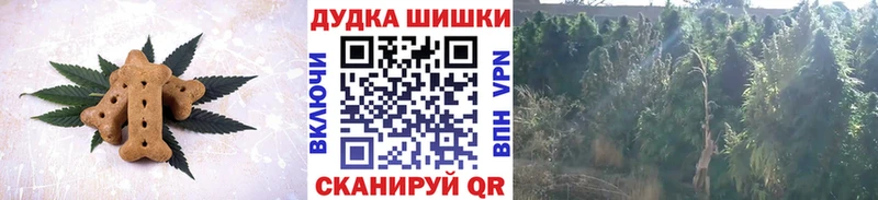 Canna-Cookies марихуана  Соль-Илецк 