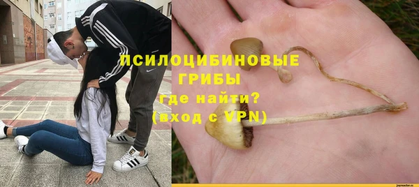 ГАЛЛЮЦИНОГЕННЫЕ ГРИБЫ Балахна