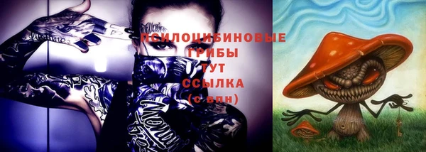 ALPHA PVP Белокуриха