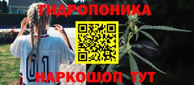 сатива Нарткала