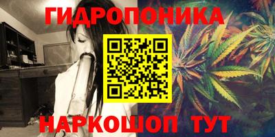 сатива Нарткала