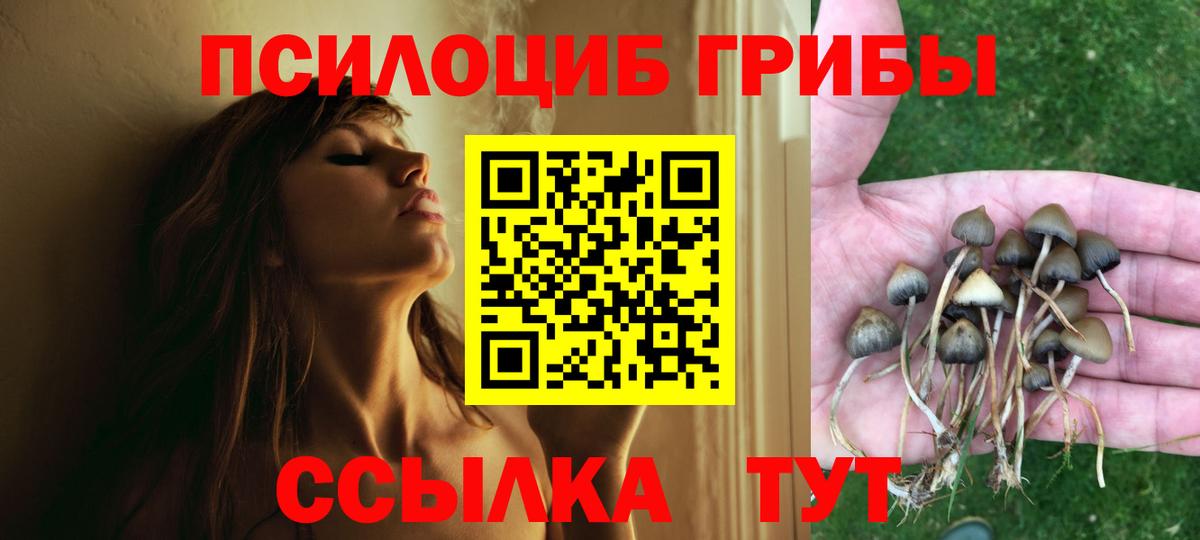 Галлюциногенные грибы Psilocybe  цены   Соль-Илецк  Вход с VPN 